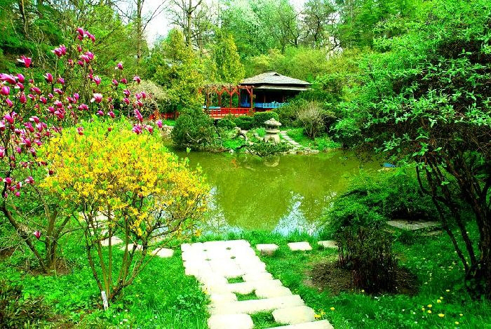 Grădina Botanică Alexandru Borza cluj