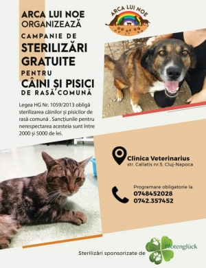 Urmeaza o campanie de sterilizari gratuite pentru caini si pisici