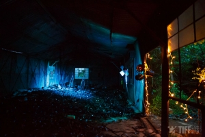 O saptamana plina la TIFF: filme, concerte si masterclass-uri