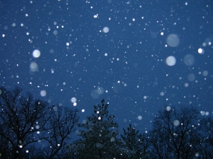 De ce iarna este absolut cel mai oribil anotimp (7 motive + gifs)