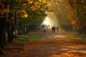 Unde ne plimbam in Cluj? Top 3 locuri pentru o plimbare reusita