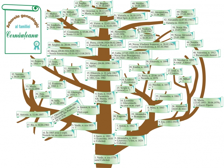 Transilvania are primul arbore genealogic in format digital
