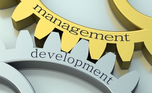 Studentii UBB au castigat locul II in Olanda la competitia de studii de caz in management