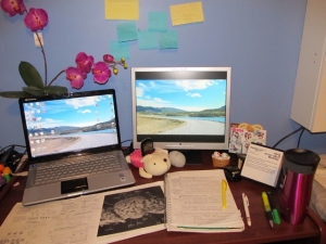 Cati dintre noi avem un spatiu adecvat de studiu?