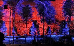 Trei artisti proiecteaza la Cluj in cel mai mare proiect national colaborativ de video-mapping