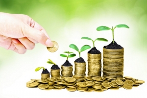 Noneconomistii pot avea parte de educatie financiara oferita de BNR si UBB