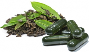 Ceaiul verde si capsulele cu extracte din ceai