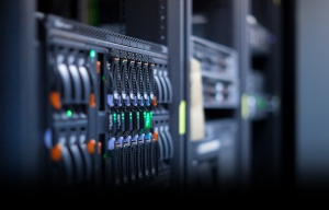 Cinci criterii dupa care trebuie ales un hosting